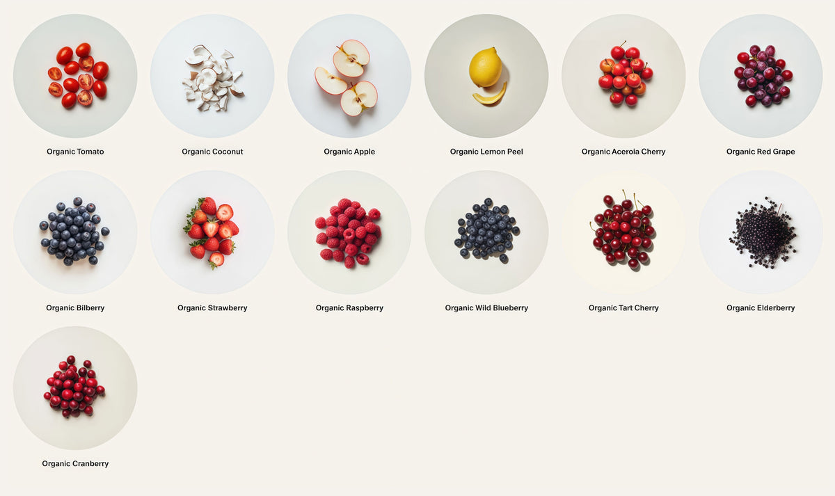 Organic Superfruit Blend