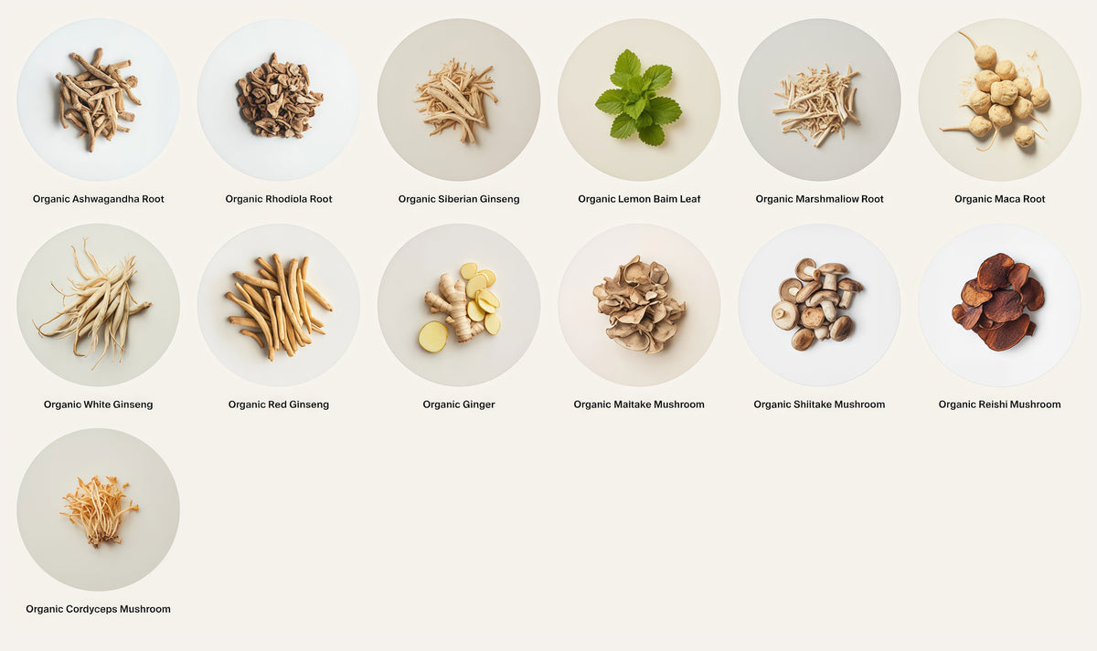Organic Supermushroom Adaptogen Complex
