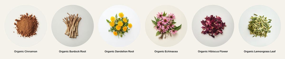 Organic Botanical Blend